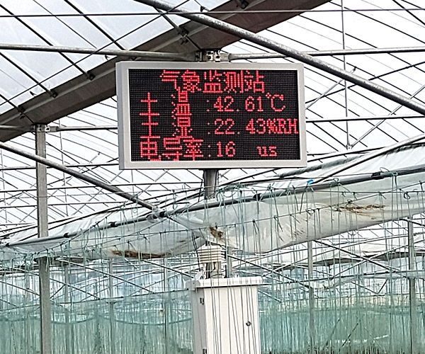 農(nóng)業(yè)大棚園區(qū)氣象監(jiān)測