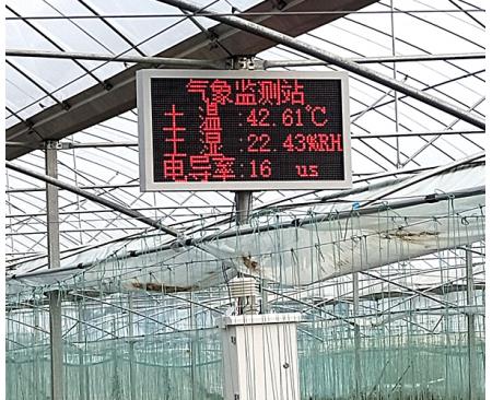 農業大棚園區氣象監測